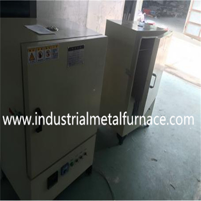 Forno elettrico di laboratorio utilizzato per l'essiccazione, la sterilizzazione, la conduzione, la cura